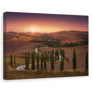 Tablou canvas - Toscana, Peisaj, Italia, Toscana, Chiparos, Chiparosi, 40 x 60 cm