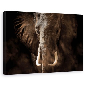 Tablou canvas - Tusker, Nature, Elefant, Maiestuos, Colti, 60 x 90 cm