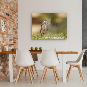 Tablou canvas - Ultima Lumina Din Cuib, Bufnita, Dragut, Salbatic, 50 x 70 cm - Img 4