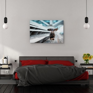 Tablou canvas - Un catel alergand prin lume, Animal, Urban, Caine, Animale De Companie, 80 x 120 cm - Img 3