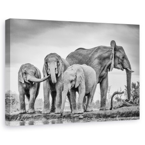 Tablou canvas - Unitate gigantica, Nature, Elefant, Mama, Africa, 60 x 90 cm