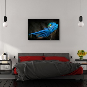 Tablou canvas - Untitled, Animal, 60 x 90 cm - Img 3