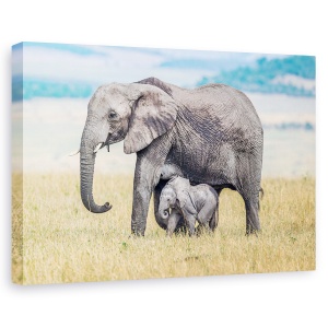 Tablou canvas - Unul Mititel, Salbatic, Natura, Animal, 80 x 120 cm