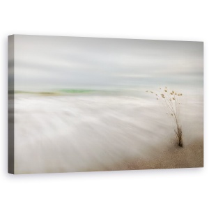 Tablou canvas - Urechi In Mare, Peisaj Marin, Floare, Moale, 50 x 80 cm