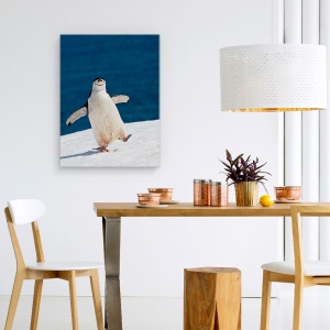 Tablou canvas - Viata E Frumoasa, Natura, Zapada, Albastru, Pinguin, Antarctica, 75 x 100 cm - Img 4