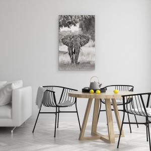 Tablou canvas - Vin, Elefant, Elefanti, Alb-Negru, Africa, Salbatic, 40 x 60 cm - Img 4