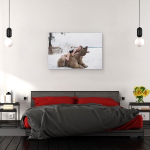 Tablou canvas - Vis, Fata, Vis, Urs, Natura, Rusia, 60 x 90 cm - Img 3