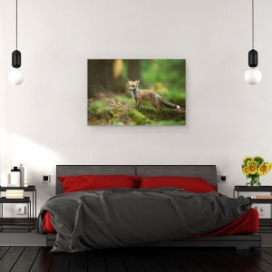 Tablou canvas - Vulpe Rosie, Dragut, Copil, Coada, 60 x 90 cm - Img 3