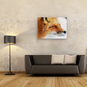 Tablou canvas - Vulpe Rosie, Natura, Blana, Animal, Mamifer, 75 x 100 cm - Img 2