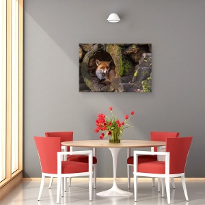Tablou canvas - Vulpe, Salbatic, Ascunzand, 60 x 90 cm - Img 4
