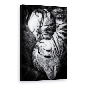 Tablou canvas - Yin Si Yang, Pisica, Animale De Companie, Dragut, Obosit, 60 x 90 cm