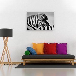 Tablou canvas - Zebra Curioasa, Etosha, Salbatic, Natura, 60 x 90 cm - Img 2
