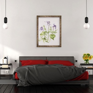 Tablou inramat - Alison Cooper - Clematis Integrifolia, 60 x 80 cm - Img 3