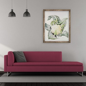 Tablou inramat - Alison Cooper - Studiu privind conopida, 70 x 85 cm - Img 2
