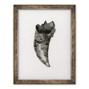 Tablou inramat - Bella Larsson - Dinte feline, 2014, 60 x 80 cm