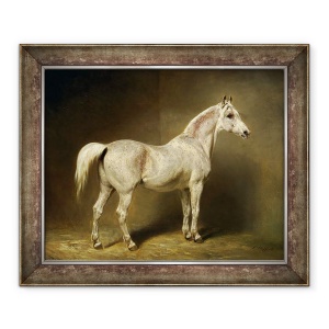 Tablou inramat - Carl Constantin Steffeck - Beatrice, calul alb arab al lui Helmuth Graf von Moltke, 50 x 60 cm