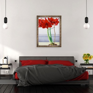Tablou inramat - Christopher Ryland - Amaryllis rosu 2, 70 x 90 cm - Img 3
