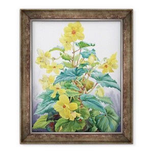 Tablou inramat - Christopher Ryland - Begonia Galben 2, 70 x 85 cm