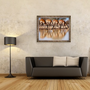 Tablou inramat - Eric Meyer - Impala baut, 2019, 60 x 80 cm - Img 2