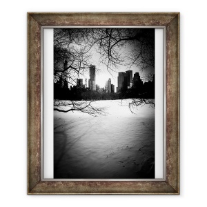 Tablou inramat - Guilherme Pontes - Central Park City & Arbori Nº1, 50 x 60 cm