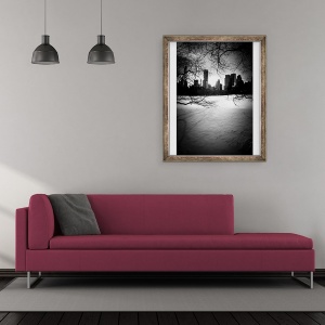 Tablou inramat - Guilherme Pontes - Central Park City & Arbori Nº1, 50 x 60 cm - Img 2
