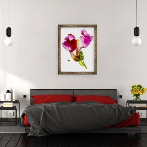 Tablou inramat - Julia McLemore - Gura-Leului, 70 x 90 cm - Img 3