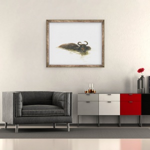 Tablou inramat - Lincoln Seligman - Bivol de apa 2, 70 x 85 cm - Img 2