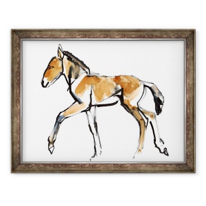 Tablou inramat - Mark Adlington - Colt Przewalski, 60 x 80 cm