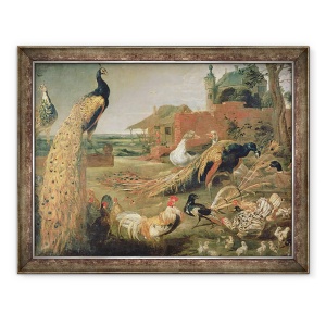 Tablou inramat - Paul de Vos - O cioara in pene de paun, 60 x 80 cm