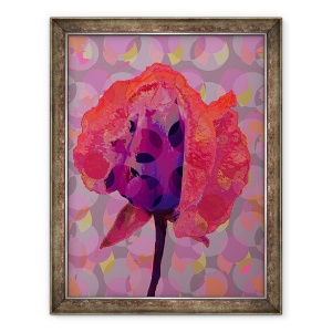 Tablou inramat - Scott J. Davis - Ceai Rose 3, 60 x 80 cm