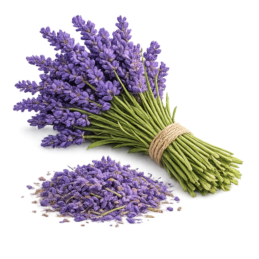 Lavandă
