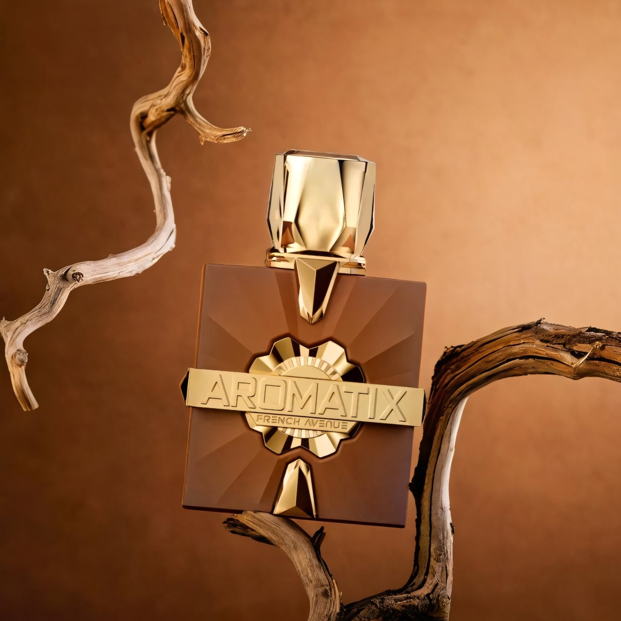 Avenue Aromatix Royal Taboo Unisex Extrait De Parfum 100ml - imagine 2
