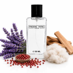 INVICTUS BLUE by Patric (P-9) apa de parfum 50ml, barbati