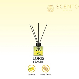 Odorizant camera - Loris Lamaie - 100 ml