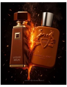 French Avenue, Liquid Brun , apa de parfum, de barbat, 100 ml - Img 3