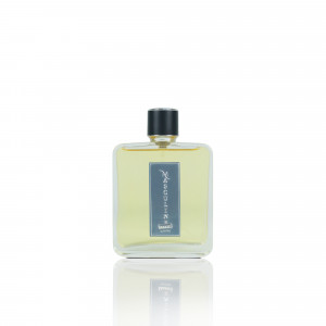 Masculine Elixir by Patric, apa de parfum 100 ml, barbati - Img 2