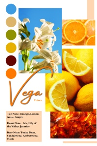 Vega by Patric, apa de parfum 100 ml, femei - Img 3