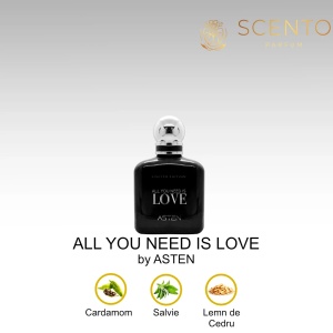 Apă de parfum All you need is love, Asten, barbati, 100 ml - Original Dubai