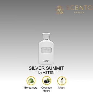 Apă de parfum Asten, Silver Summit, barbati, 100ml - Original Dubai