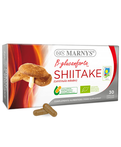 Shiitake (Lentinula edodes) – Antibacterian, Antioxidant, Imunitate, Energie – Produs Bio, 100% Natural – 30 Capsule