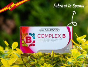 complex-de-vitamina-b-Ganoforever.ro