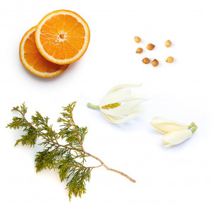 Săpun-de-baie-hidratant-doTERRA