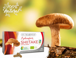 shiitake-supliment-100-bio