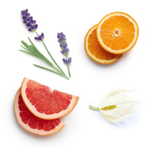 Săpun spumant concentrat pentru mâini dōTERRA abōde îmbogățit cu dōTERRA Citrus Bloom 237ml