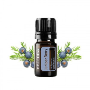 Juniper Berry ulei esential Ienupar