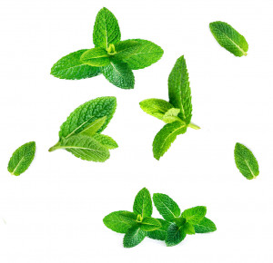 Pastă de dinți SuperMint fara fluor doTERRA