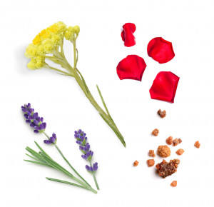 Ulei esential doTERRA salubelle10 ml