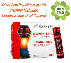 L-Carnitina Ofera Energie pentru Muschi si Eficientizeaza metabolismul grasimilor
