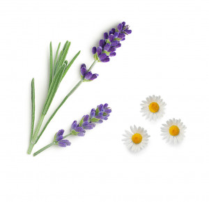 Loțiune pentru bebeluși 236ml  doTERRA 