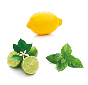 islandmint-5ml-doTERRA